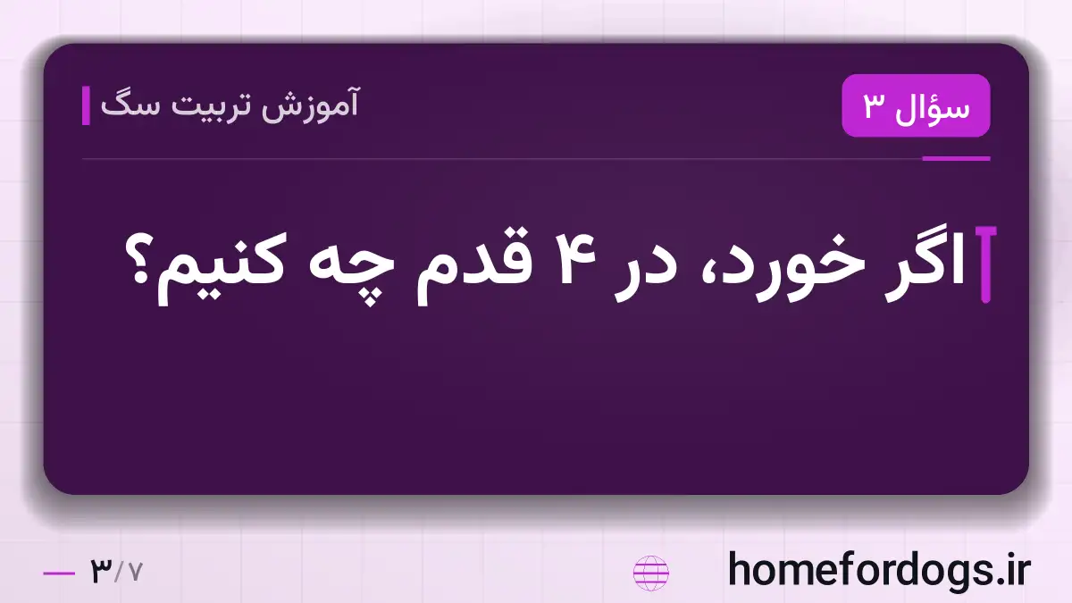 اگر خورد، در ۴ قدم چه کنیم؟