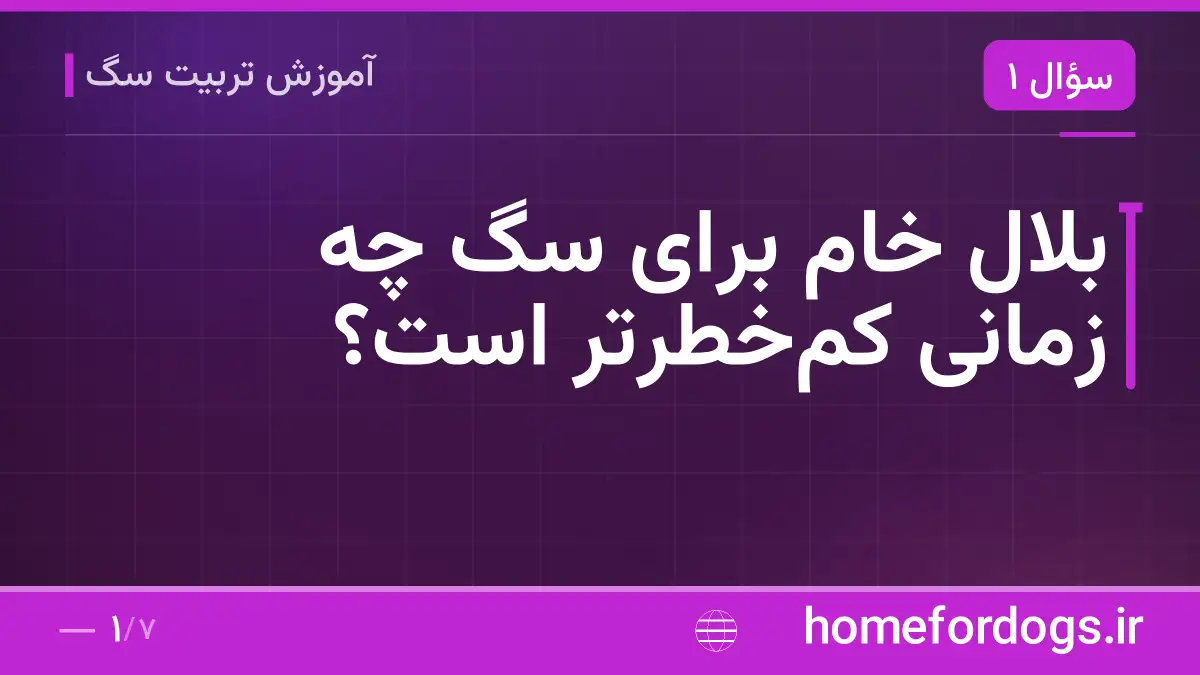 بلال خام برای سگ چه زمانی کم‌خطرتر است؟