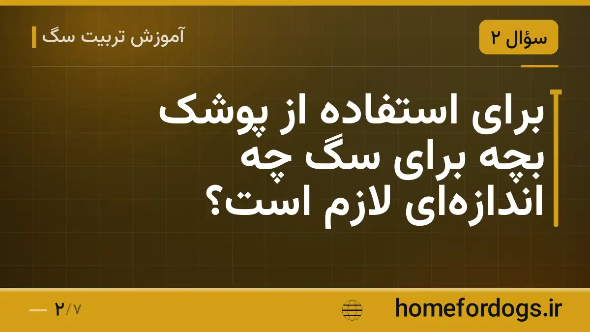 برای استفاده از پوشک بچه برای سگ چه اندازه‌ای لازم است؟