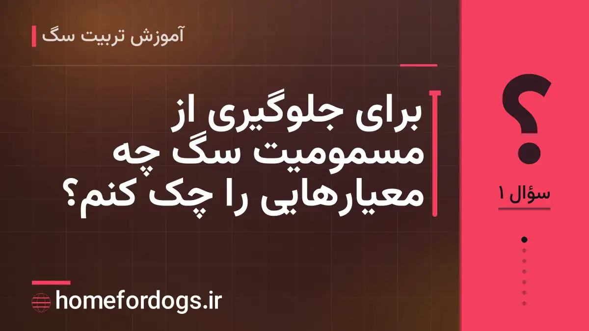 برای جلوگیری از مسمومیت سگ چه معیارهایی را چک کنم؟