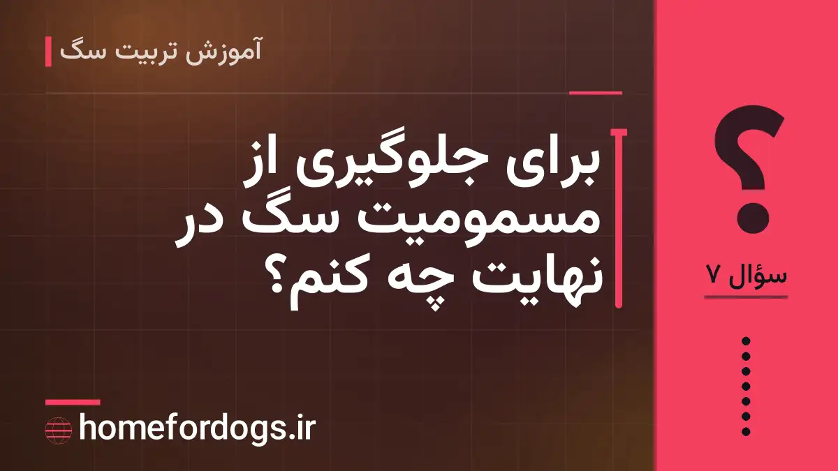 برای جلوگیری از مسمومیت سگ در نهایت چه کنم؟