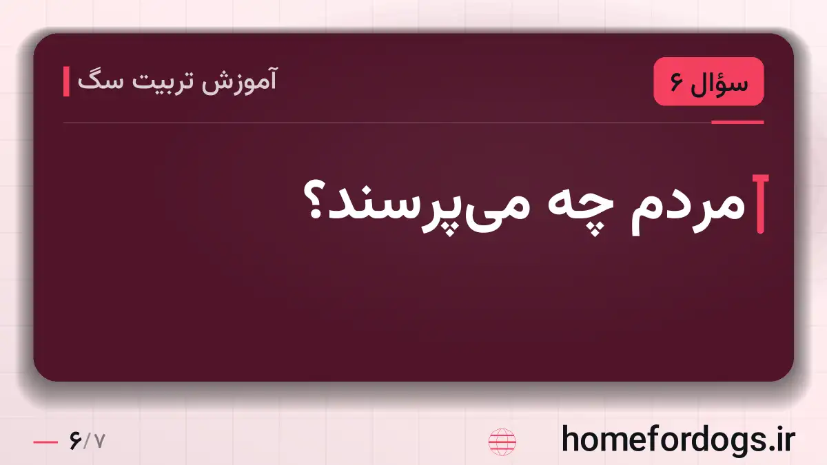 مردم چه می‌پرسند؟