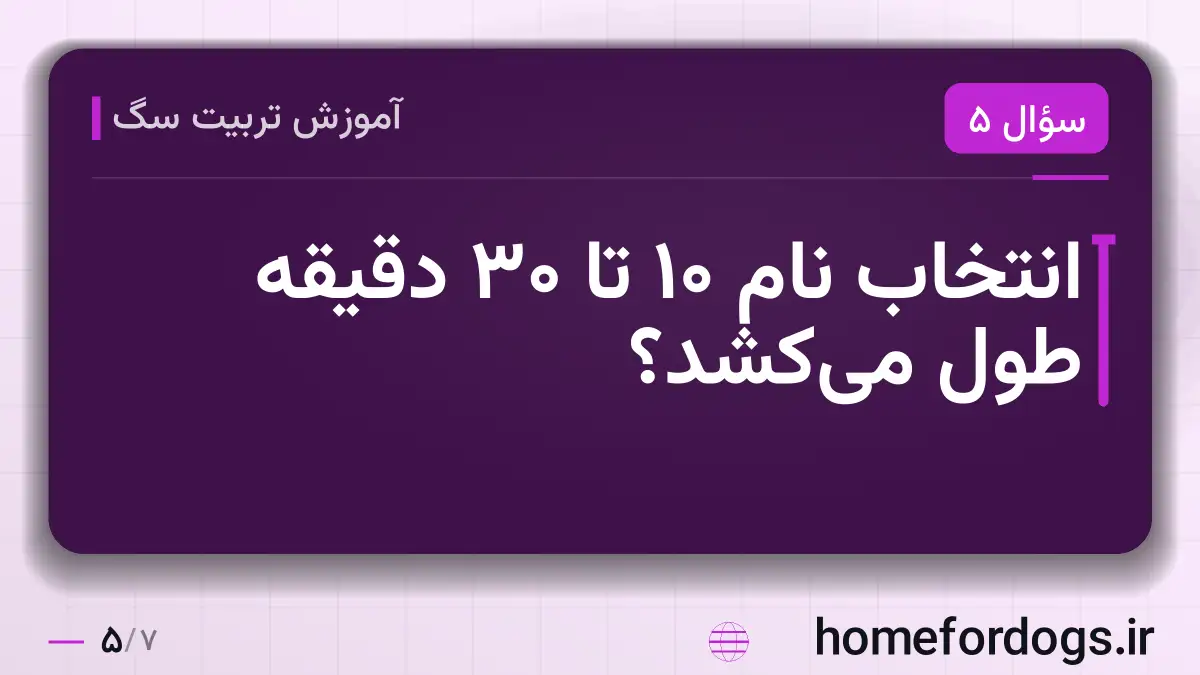 انتخاب نام ۱۰ تا ۳۰ دقیقه طول میکشد؟