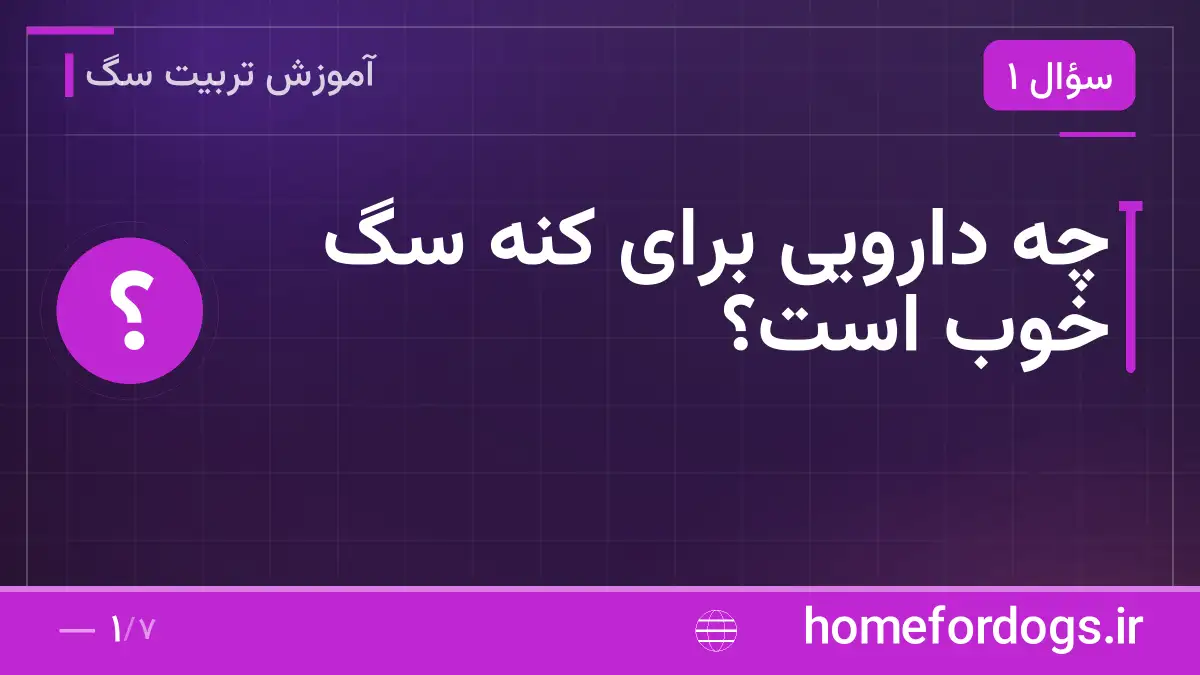 چه دارویی برای کنه سگ خوب است؟