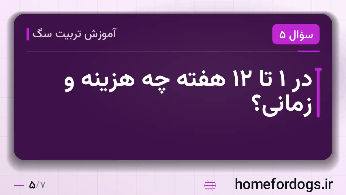در ۱ تا ۱۲ هفته چه هزینه و زمانی؟