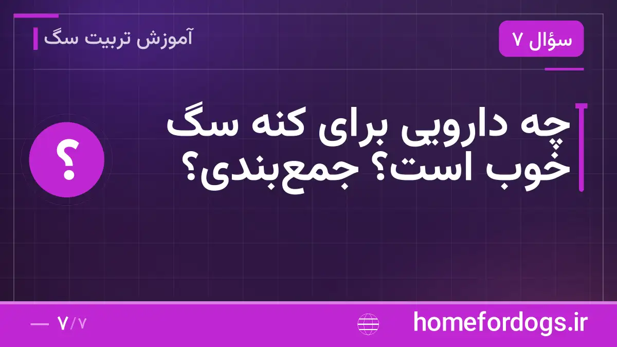 چه دارویی برای کنه سگ خوب است؟ جمع‌بندی؟