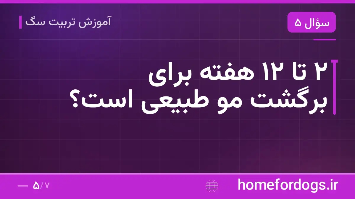 ۲ تا ۱۲ هفته برای برگشت مو طبیعی است؟