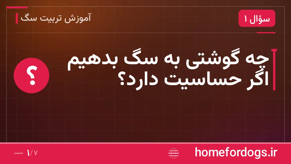 چه گوشتی به سگ بدهیم اگر حساسیت دارد؟