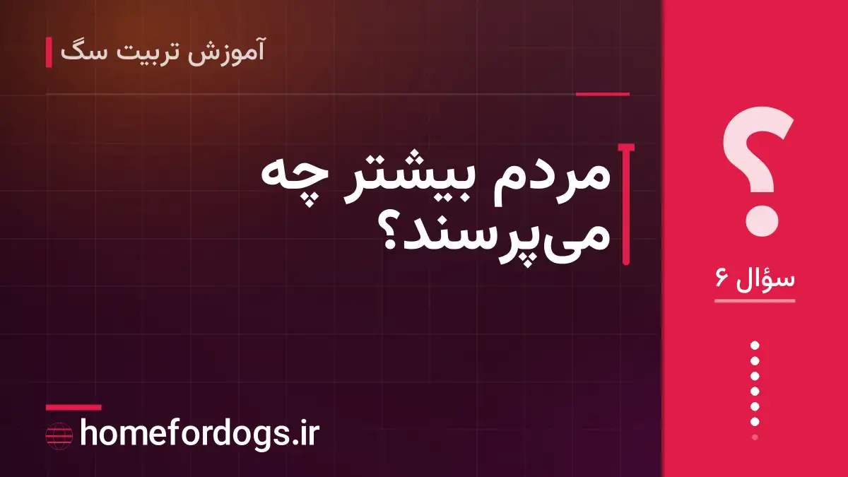 مردم بیشتر چه می‌پرسند؟
