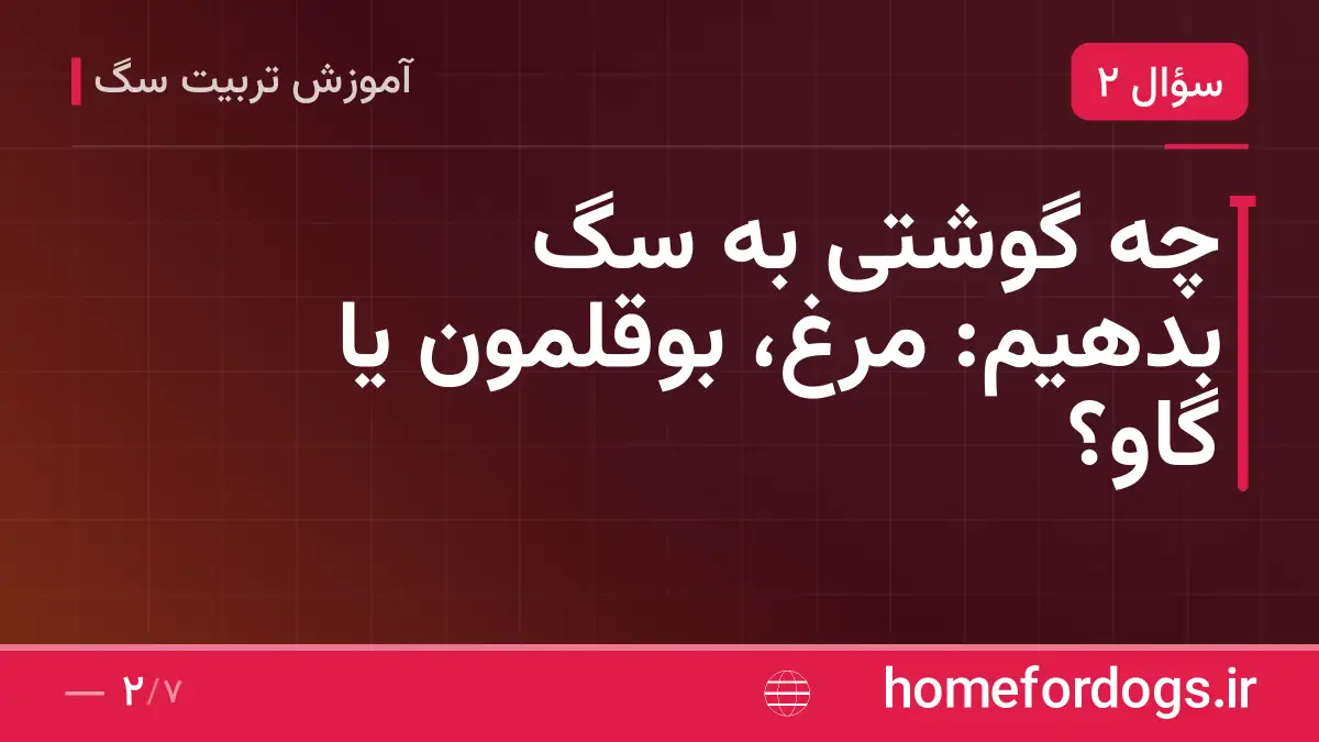 چه گوشتی به سگ بدهیم: مرغ، بوقلمون یا گاو؟