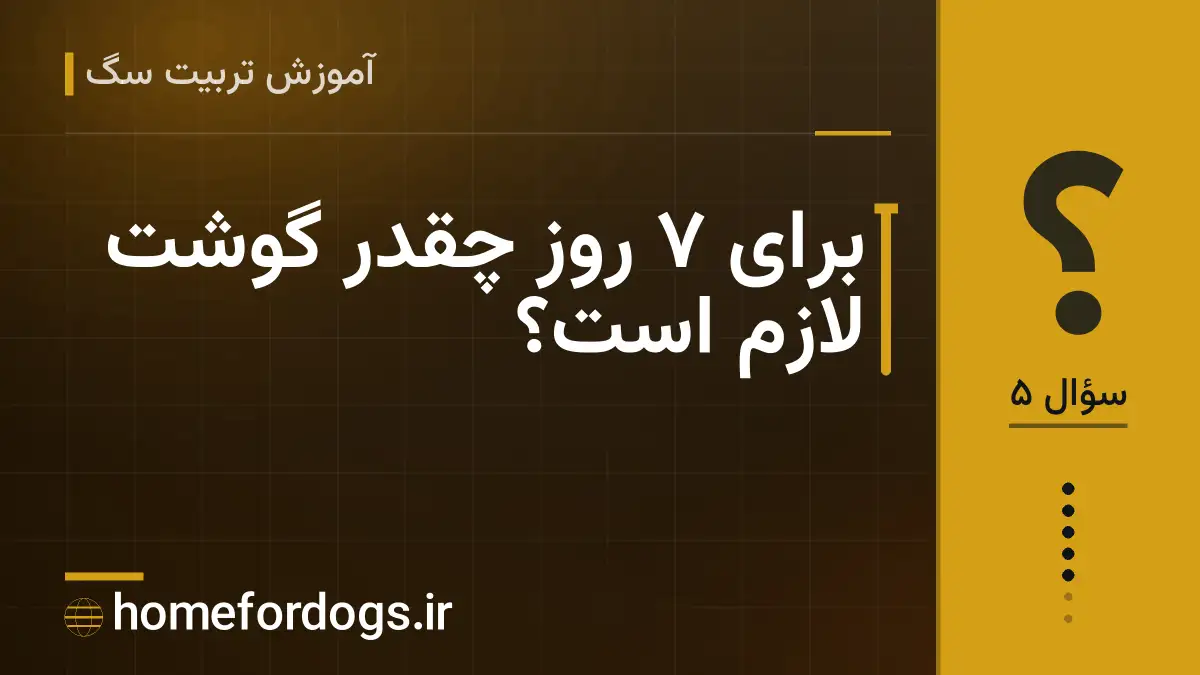 برای ۷ روز چقدر گوشت لازم است؟