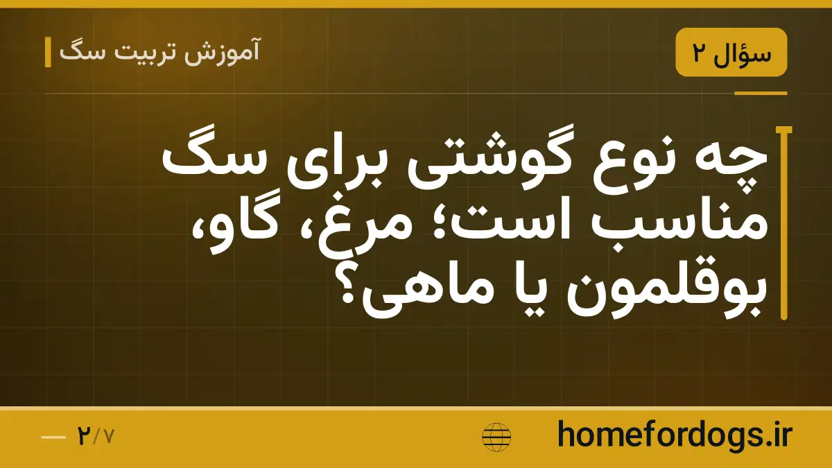 چه نوع گوشتی برای سگ مناسب است؛ مرغ، گاو، بوقلمون یا ماهی؟