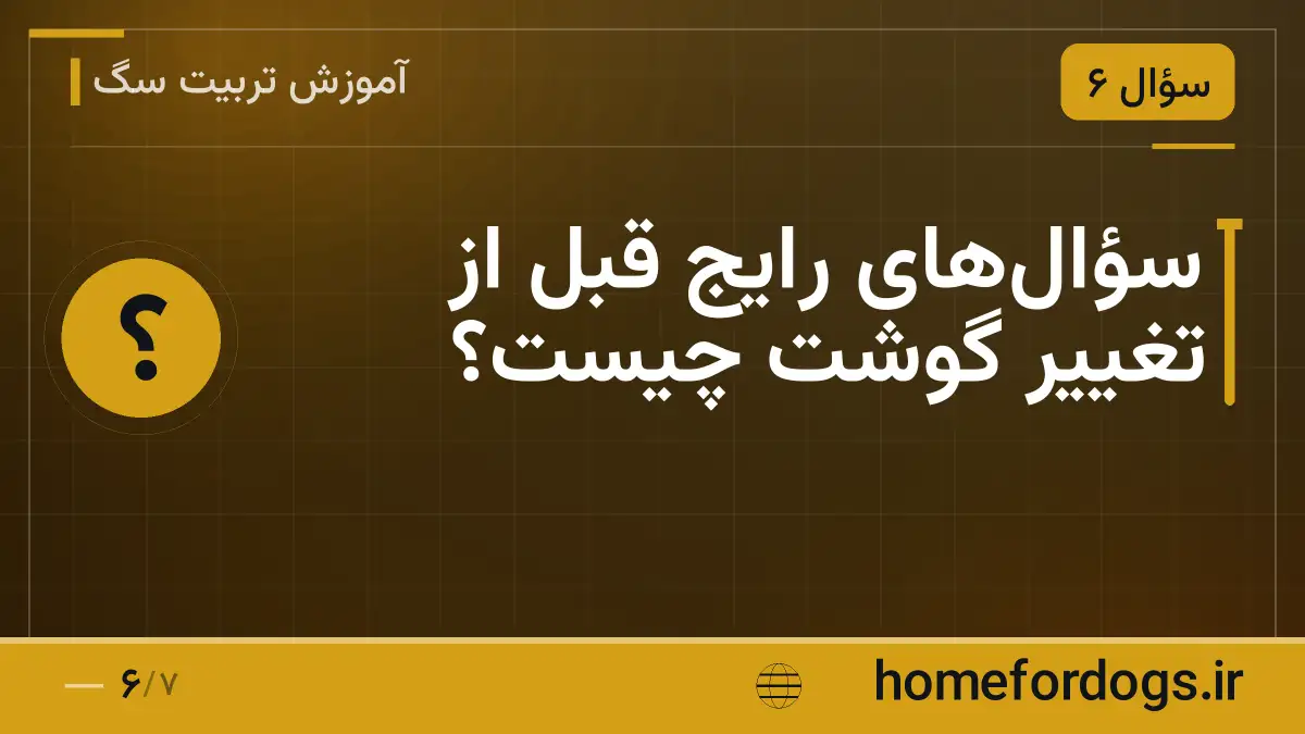 سؤال‌های رایج قبل از تغییر گوشت چیست؟
