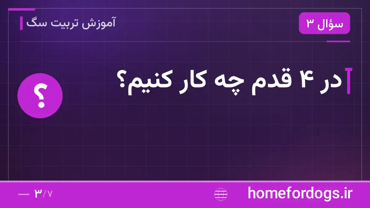 در ۴ قدم چه کار کنیم؟
