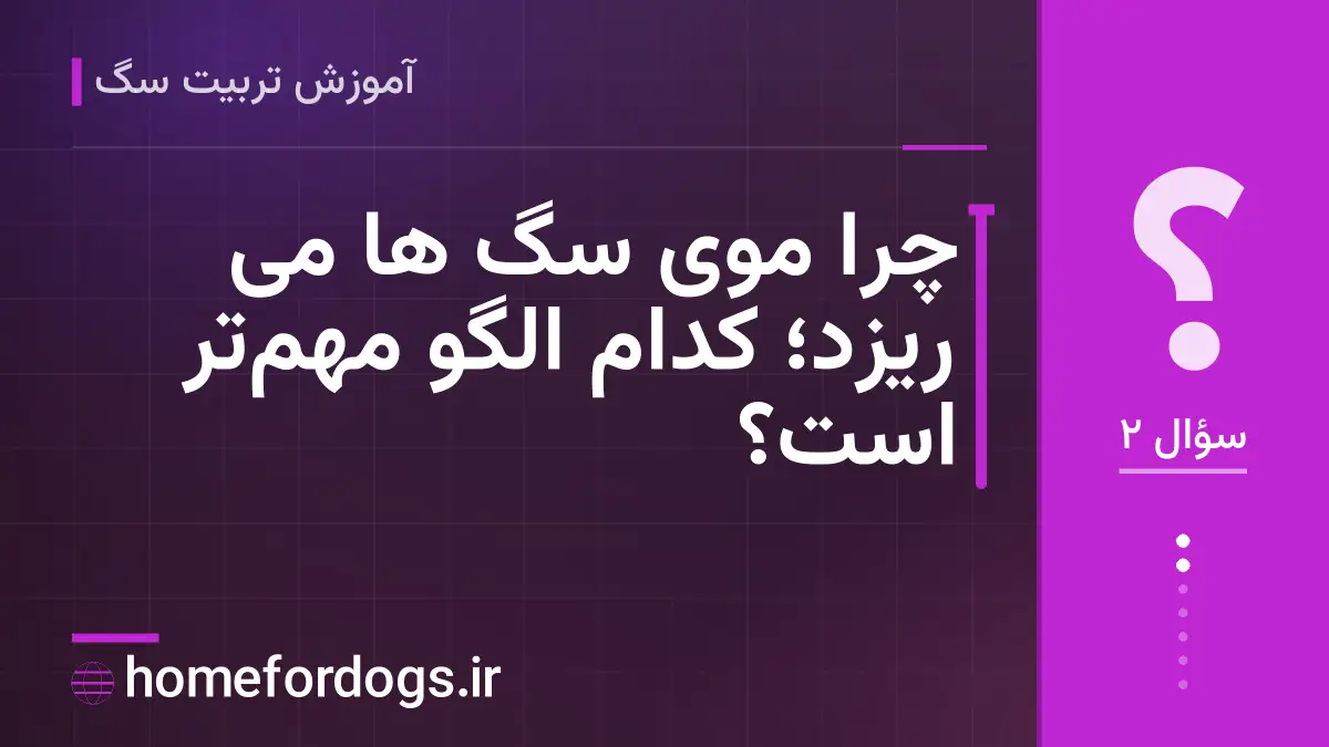 چرا موی سگ ها می ریزد؛ کدام الگو مهمتر است؟