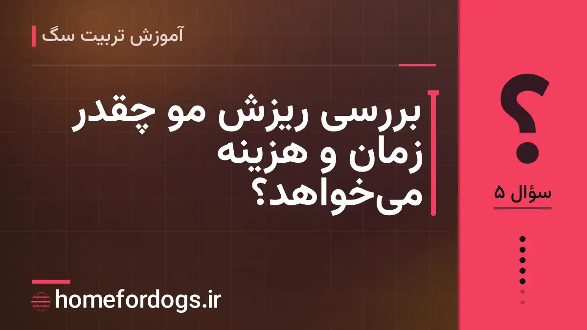 بررسی ریزش مو چقدر زمان و هزینه می‌خواهد؟