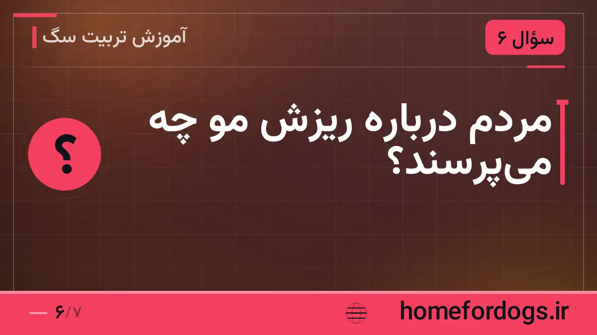 مردم درباره ریزش مو چه می‌پرسند؟