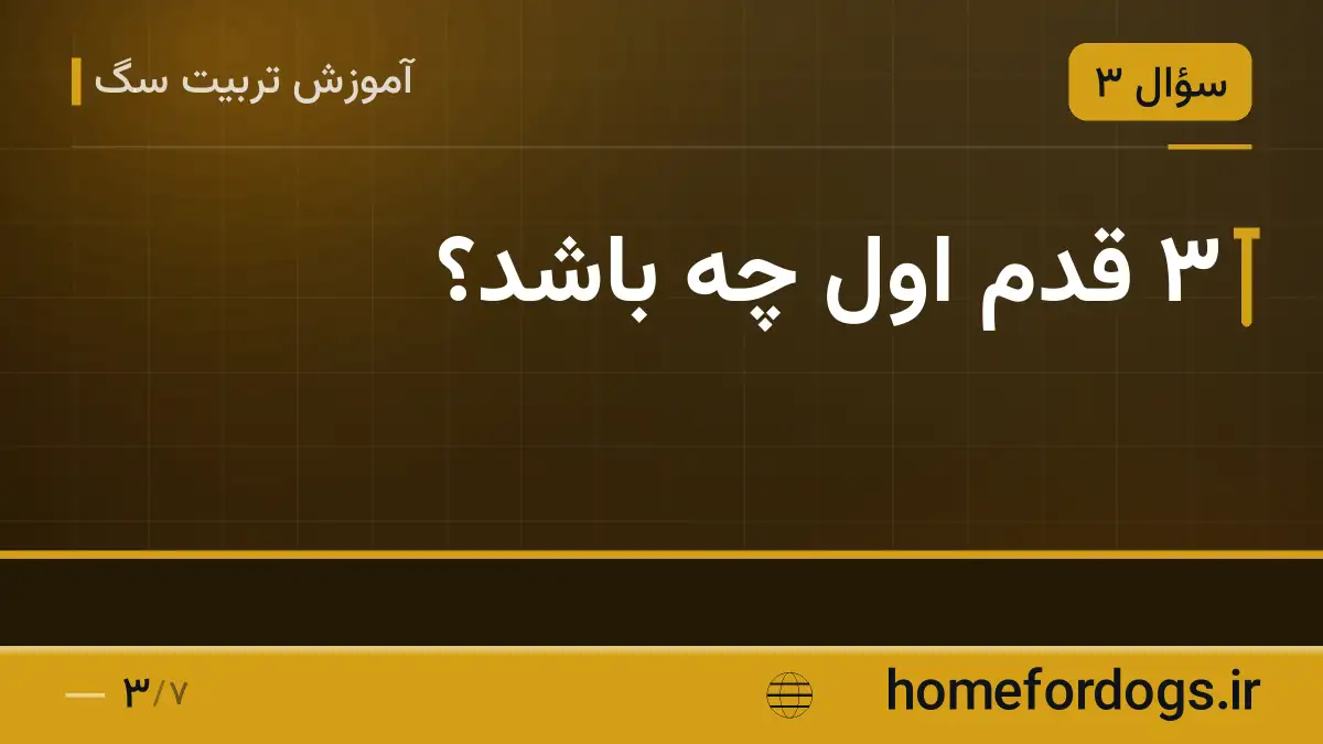 ۳ قدم اول چه باشد؟