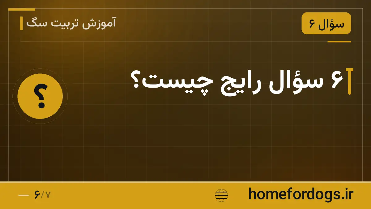 ۶ سؤال رایج چیست؟