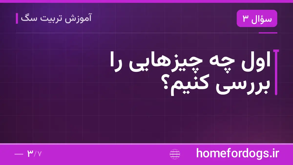 اول چه چیزهایی را بررسی کنیم؟