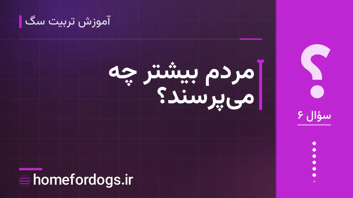 مردم بیشتر چه میپرسند؟