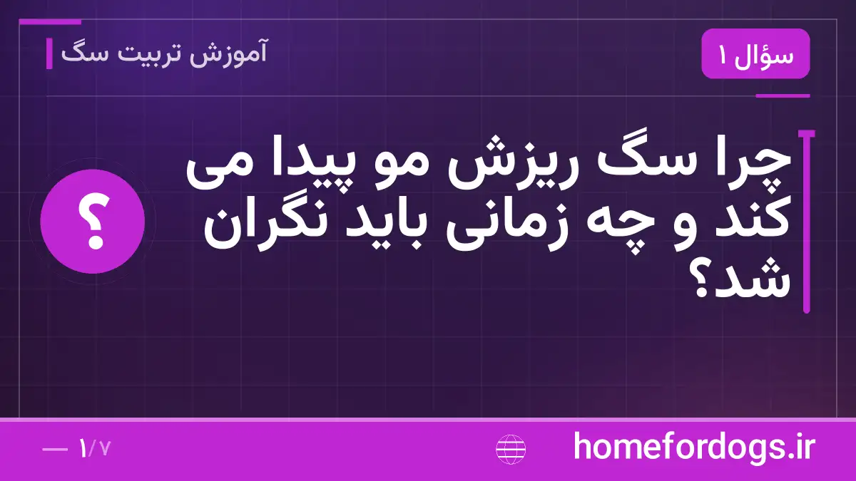 چرا سگ ریزش مو پیدا می کند و چه زمانی باید نگران شد؟