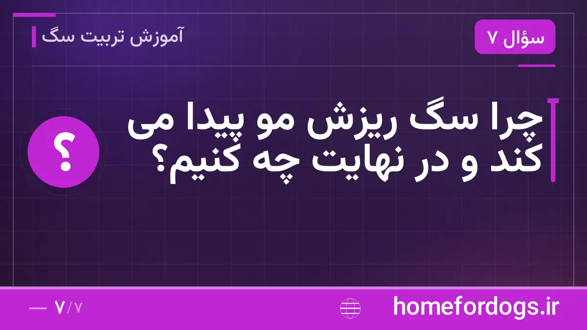 چرا سگ ریزش مو پیدا می کند و در نهایت چه کنیم؟