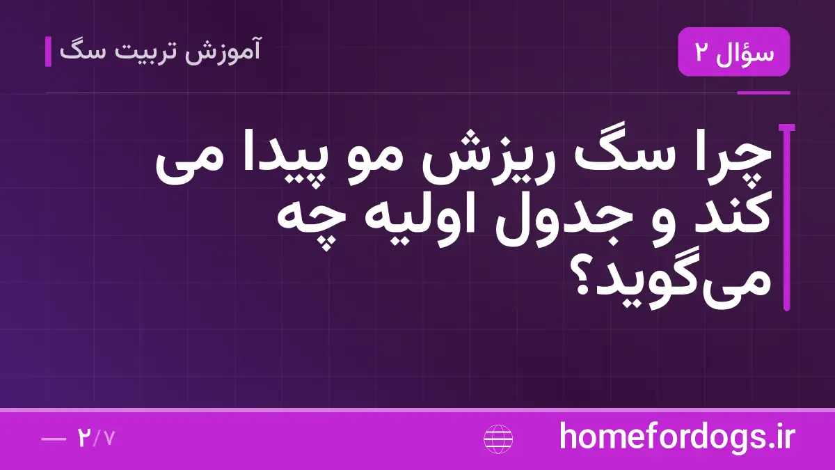 چرا سگ ریزش مو پیدا می کند و جدول اولیه چه میگوید؟