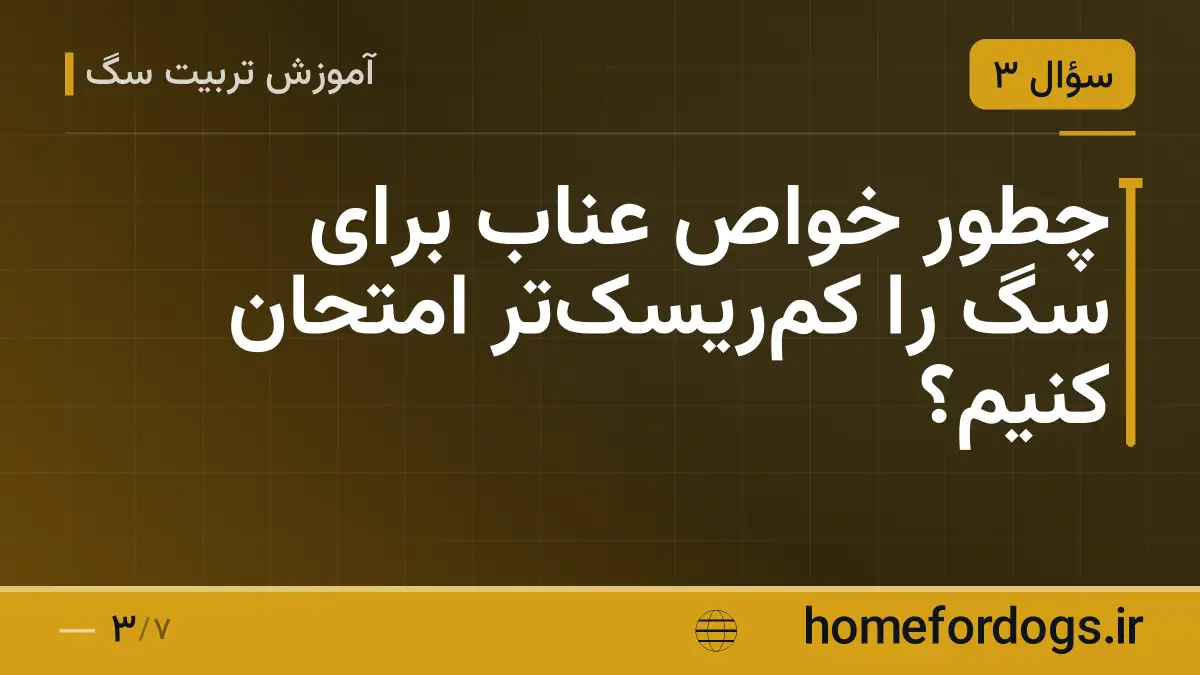 چطور خواص عناب برای سگ را کمریسکتر امتحان کنیم؟