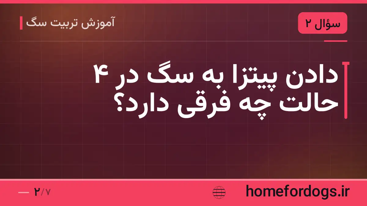 دادن پیتزا به سگ در ۴ حالت چه فرقی دارد؟
