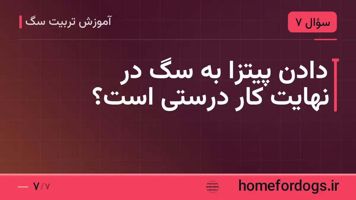 دادن پیتزا به سگ در نهایت کار درستی است؟