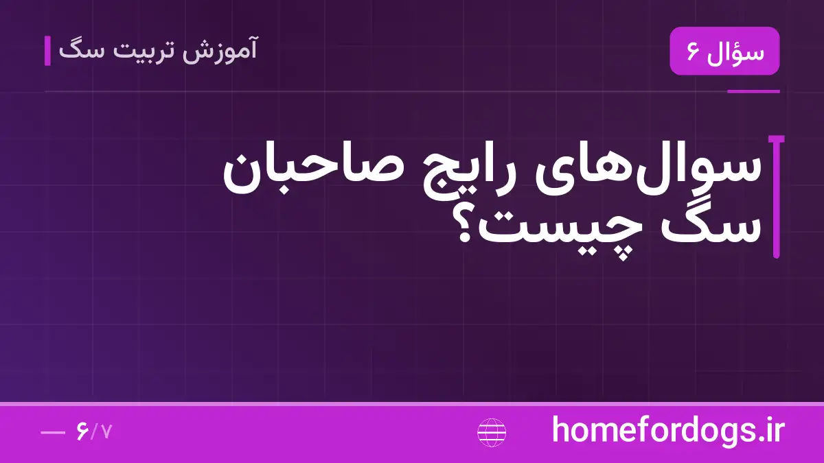 سوال‌های رایج صاحبان سگ چیست؟