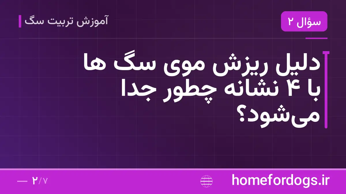 دلیل ریزش موی سگ ها با ۴ نشانه چطور جدا میشود؟