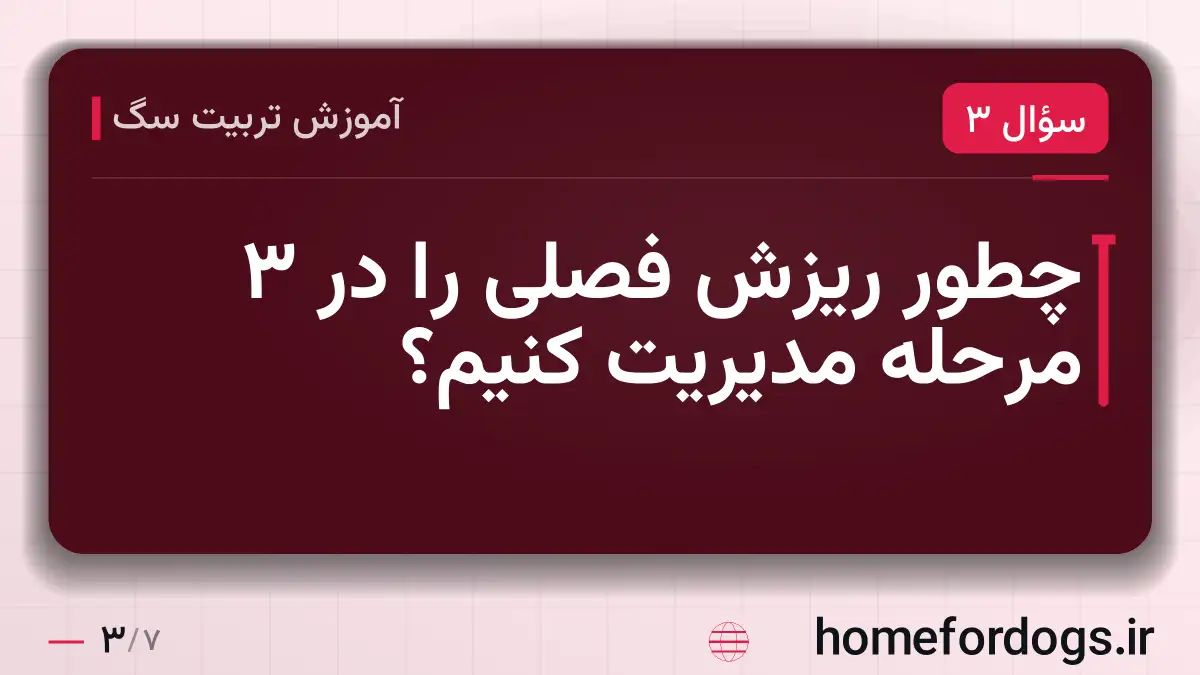 چطور ریزش فصلی را در ۳ مرحله مدیریت کنیم؟
