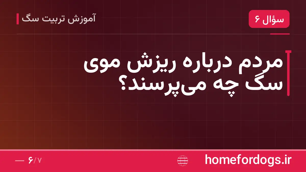 مردم درباره ریزش موی سگ چه می‌پرسند؟