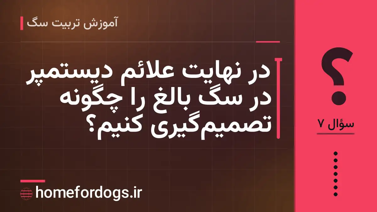 در نهایت علائم دیستمپر در سگ بالغ را چگونه تصمیم‌گیری کنیم؟