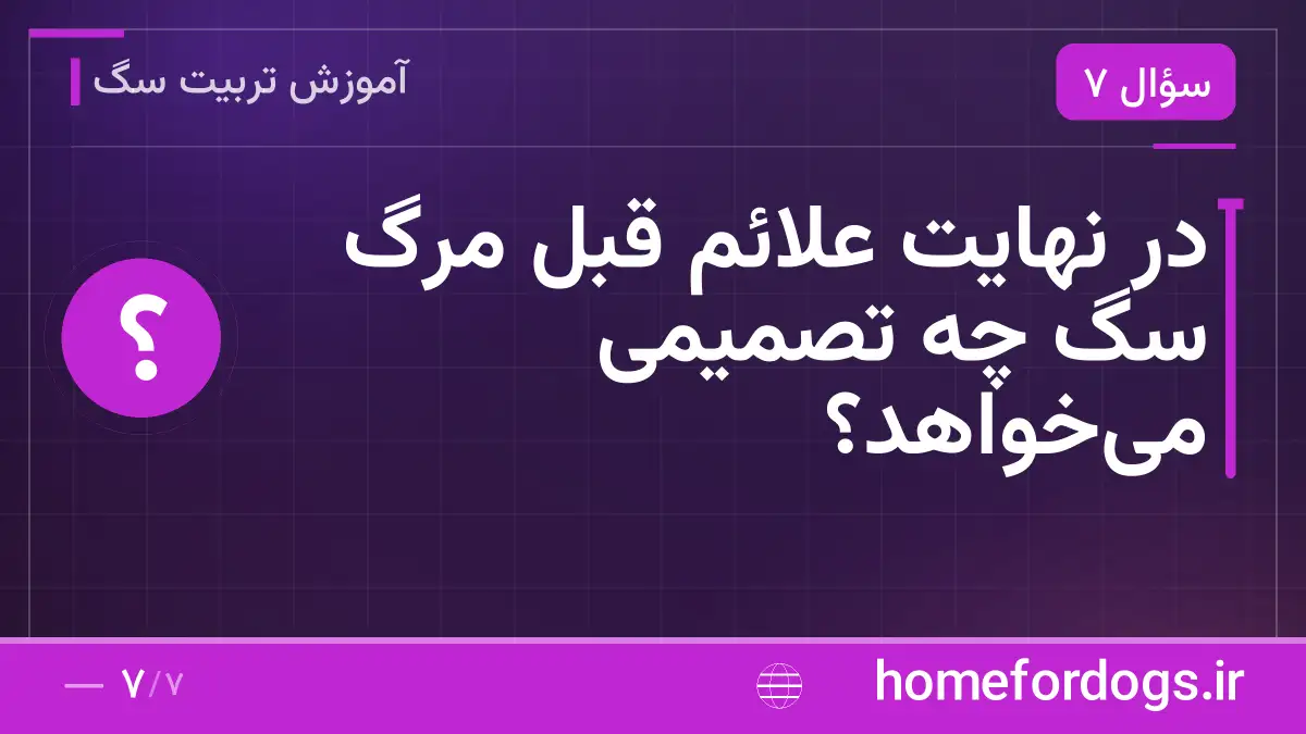 در نهایت علائم قبل مرگ سگ چه تصمیمی می‌خواهد؟