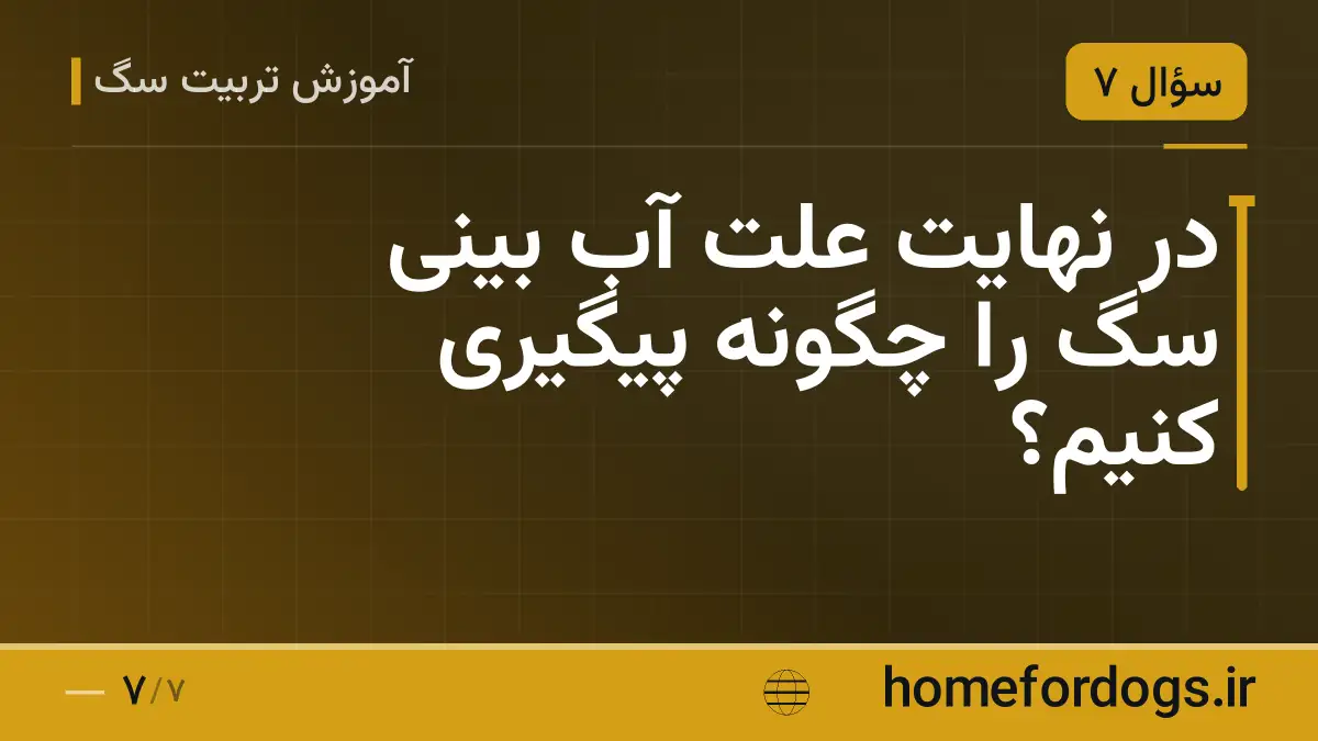در نهایت علت آب بینی سگ را چگونه پیگیری کنیم؟