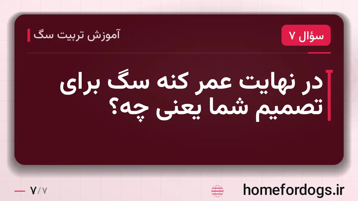 در نهایت عمر کنه سگ برای تصمیم شما یعنی چه؟