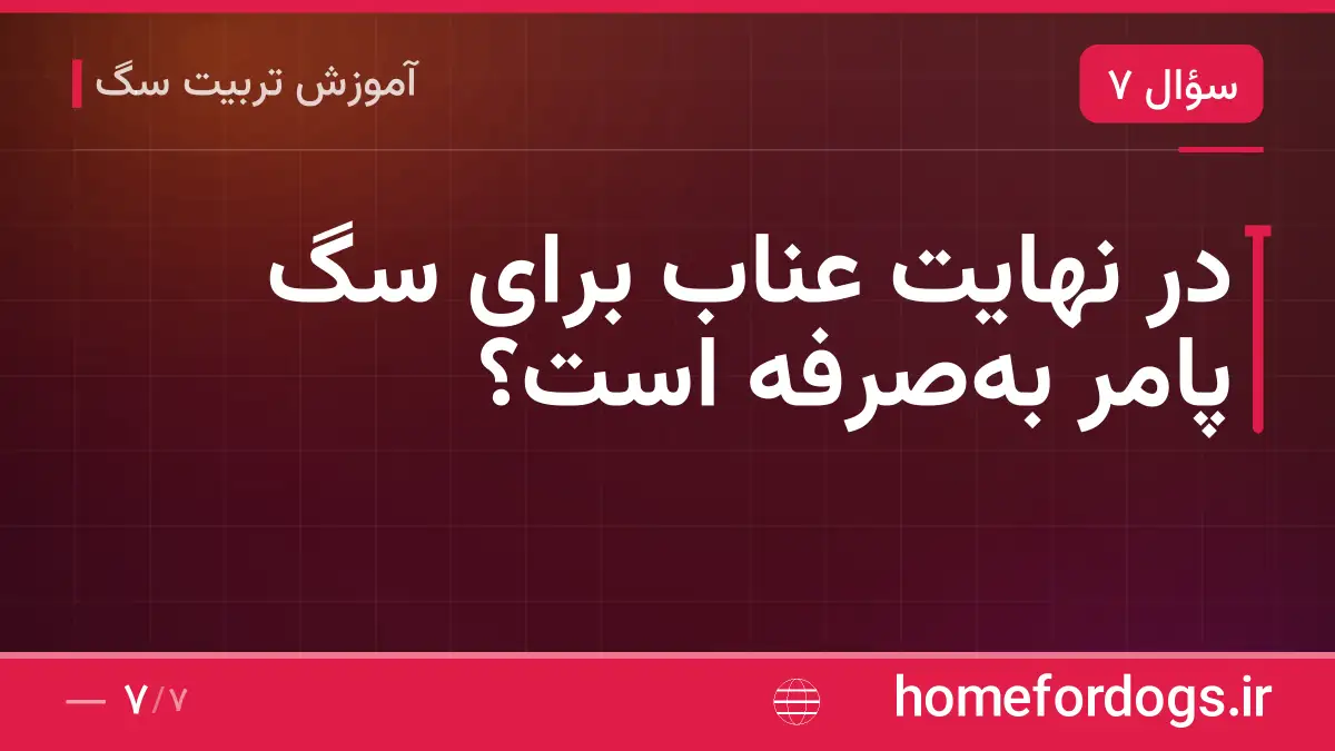 در نهایت عناب برای سگ پامر بهصرفه است؟