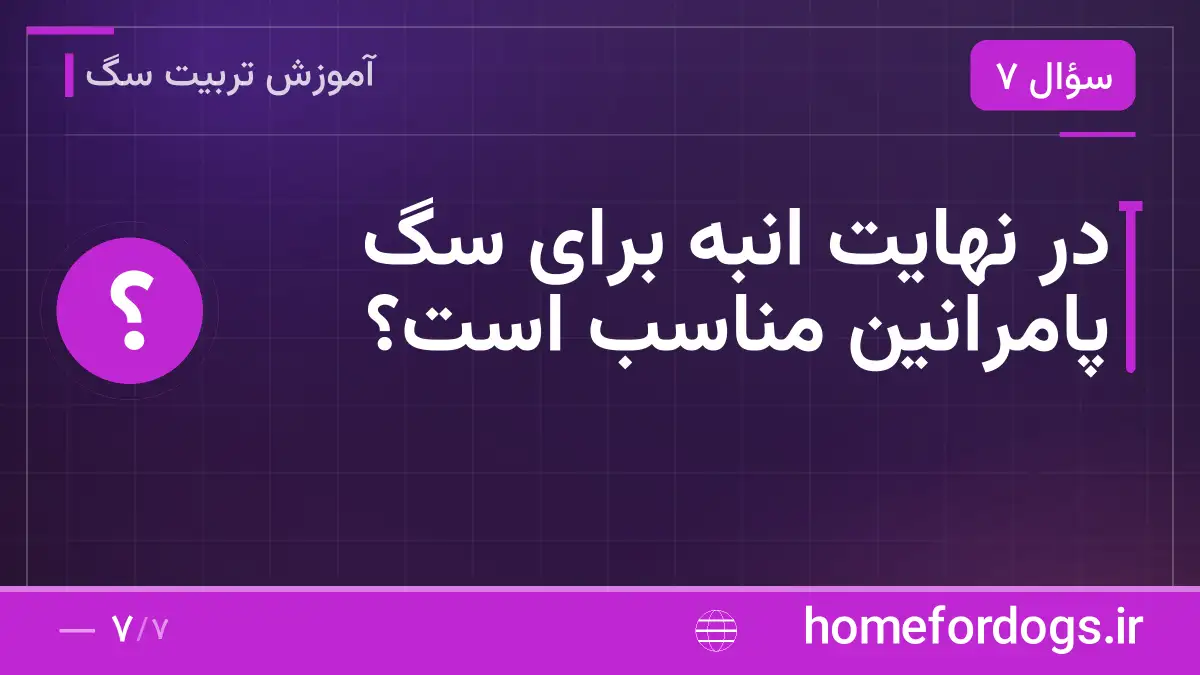در نهایت انبه برای سگ پامرانین مناسب است؟