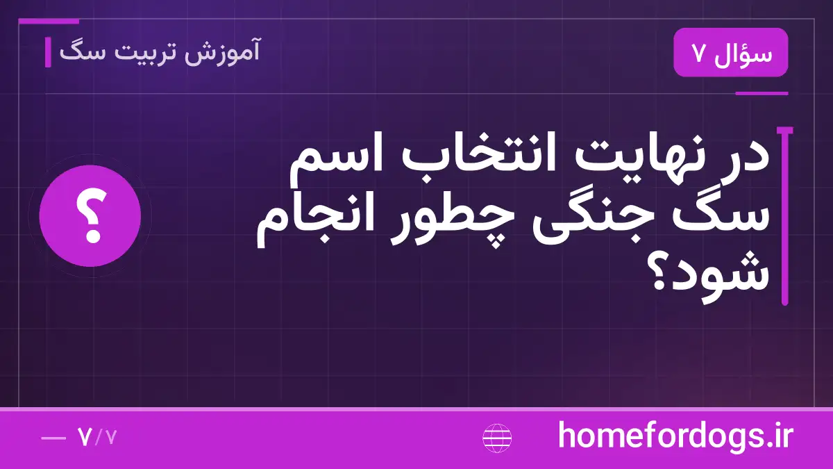 در نهایت انتخاب اسم سگ جنگی چطور انجام شود؟