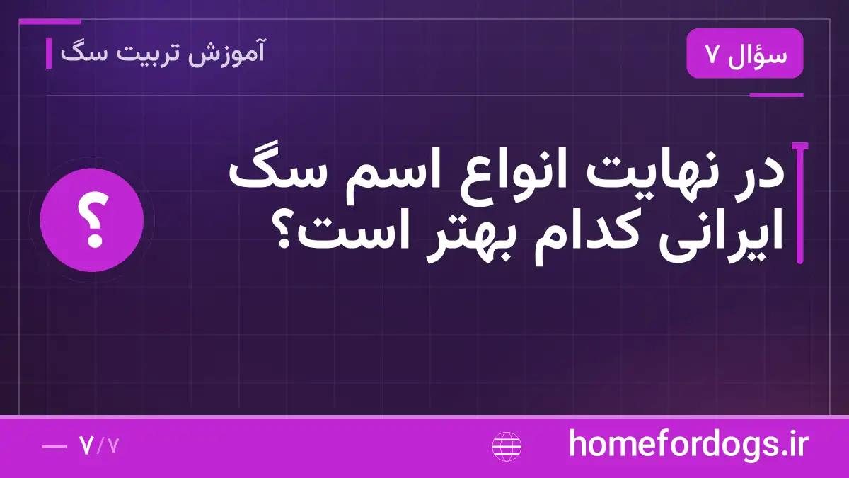 در نهایت انواع اسم سگ ایرانی کدام بهتر است؟