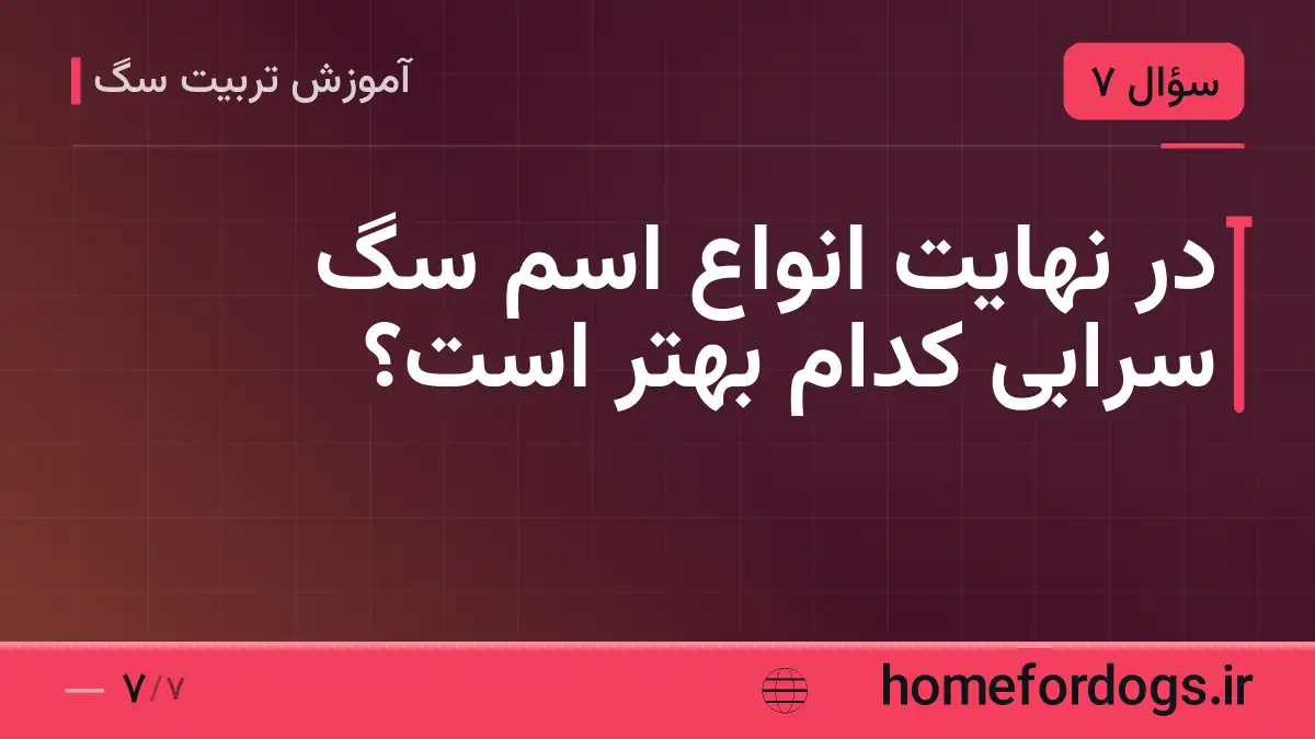 در نهایت انواع اسم سگ سرابی کدام بهتر است؟