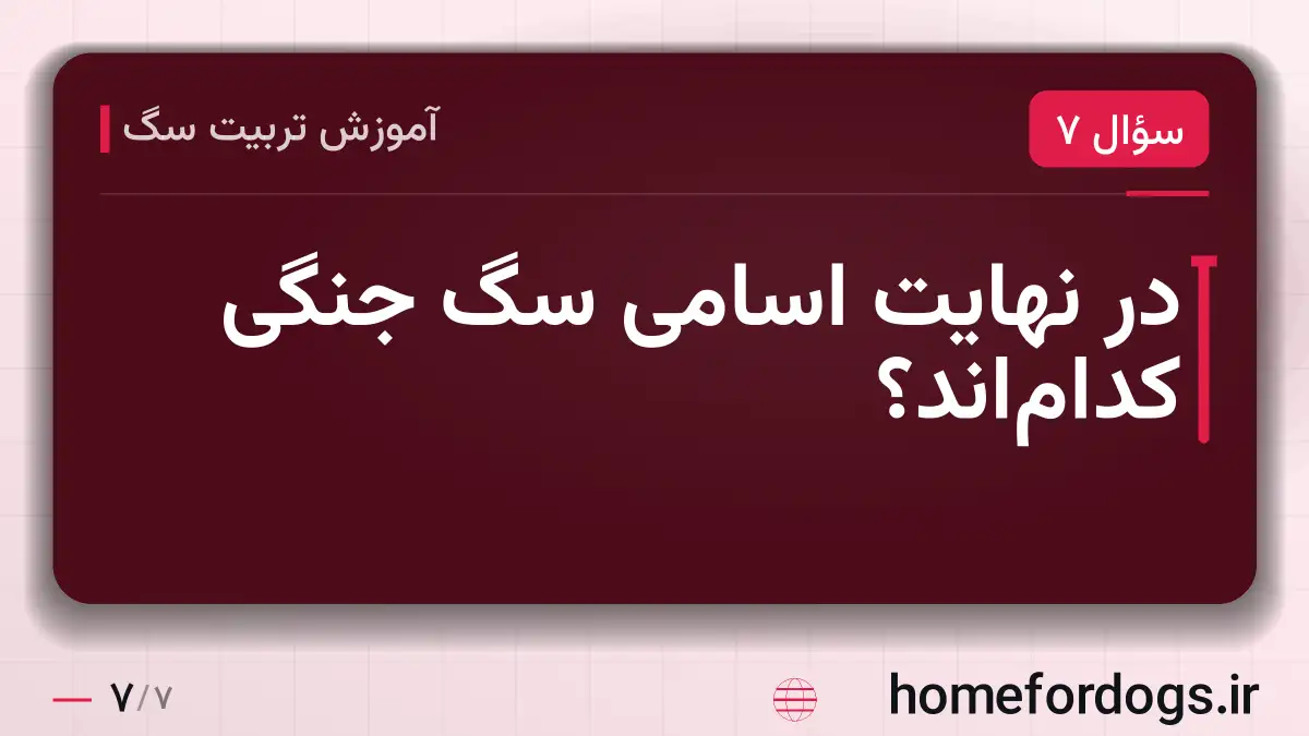در نهایت اسامی سگ جنگی کدام‌اند؟