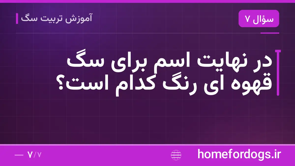 در نهایت اسم برای سگ قهوه ای رنگ کدام است؟