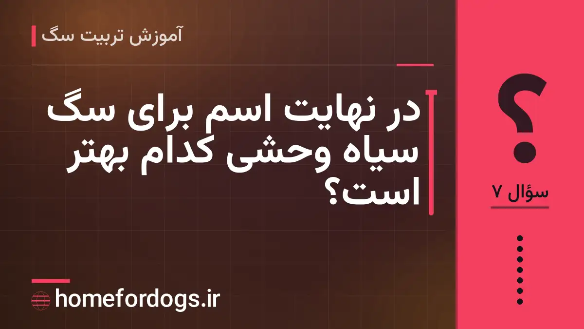 در نهایت اسم برای سگ سیاه وحشی کدام بهتر است؟