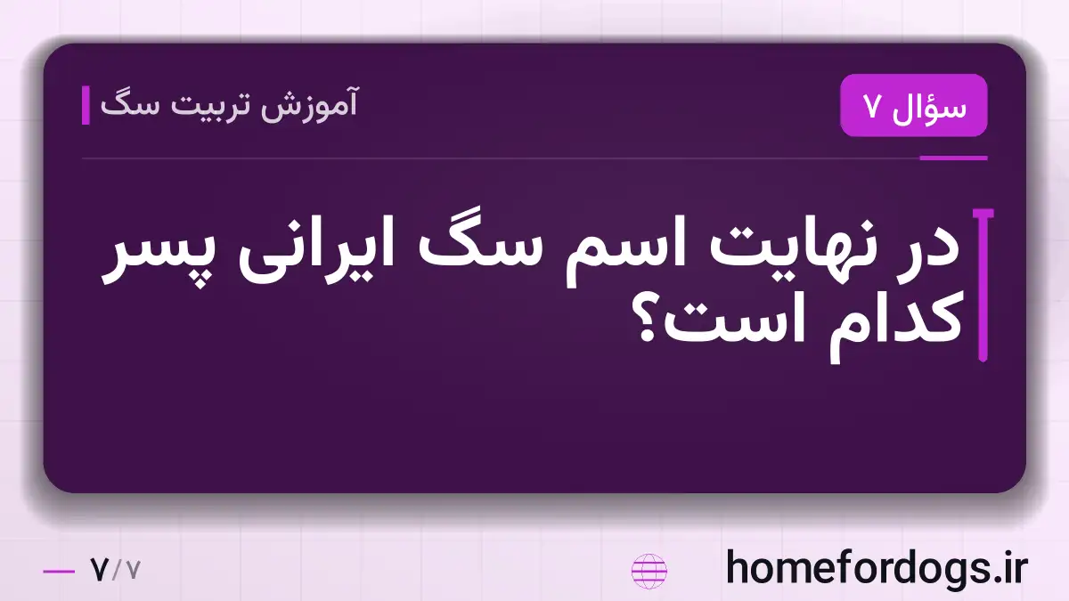 در نهایت اسم سگ ایرانی پسر کدام است؟