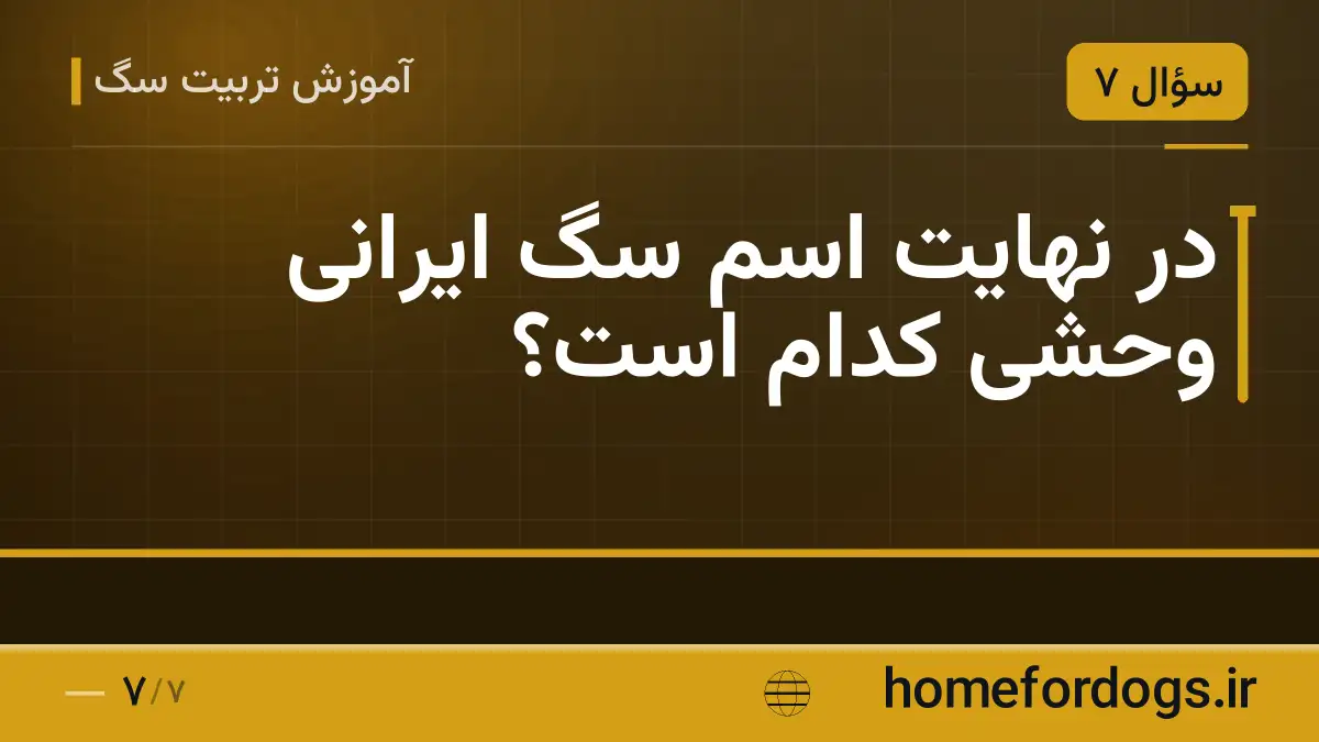 در نهایت اسم سگ ایرانی وحشی کدام است؟