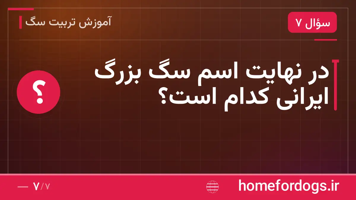 در نهایت اسم سگ بزرگ ایرانی کدام است؟